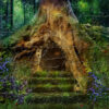 PP5-Enchanted-Forest-800×800-1.jpg
