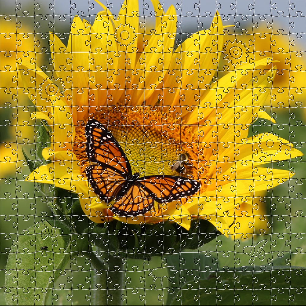 Sunflower Wooden Jigsaw Puzzle - Zen Puzzles Floral Collection