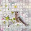 ZPST-Annas-Hummingbird-Wooden-Jigsaw-Puzzle-Composite-1000x1000px-1.jpg