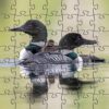 ZPTS-Loons-Wooden-Jigsaw-Puzzle-Composite-1000×1000-1.jpg