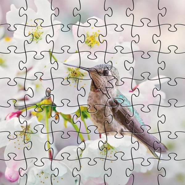 Anna's Hummingbird Zen Teaser Wooden Jigsaw Puzzle Composite 1000x1000