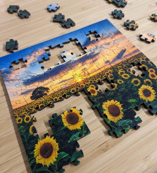 Sunflower Field Zen Wooden Puzzle.
Doing puzzles like this benefit your brain in many ways. 