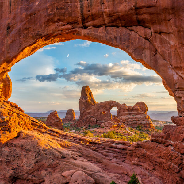 Window Arch